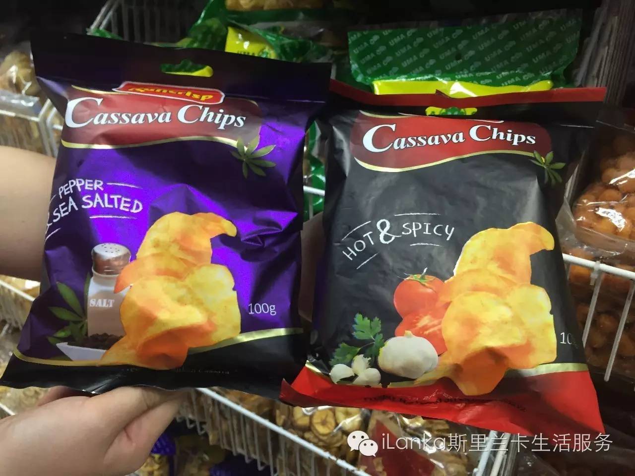 兰卡生活在哪里,兰卡生活日记全集