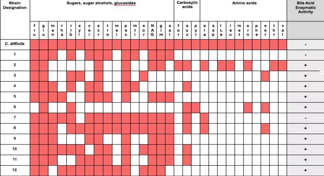 肠道微生物调理,肠道微生物治疗未知之谜