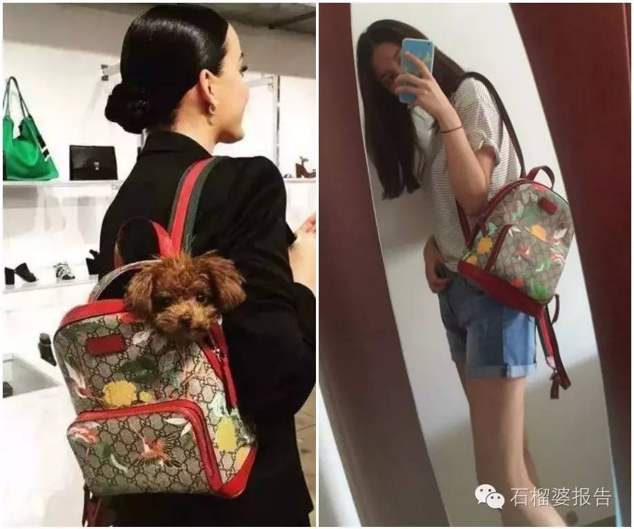 读者来稿栏目,读者来稿简短版