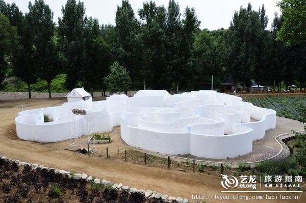 紫海香堤香草艺术庄园特色,紫海香堤香草艺术庄园怎么样