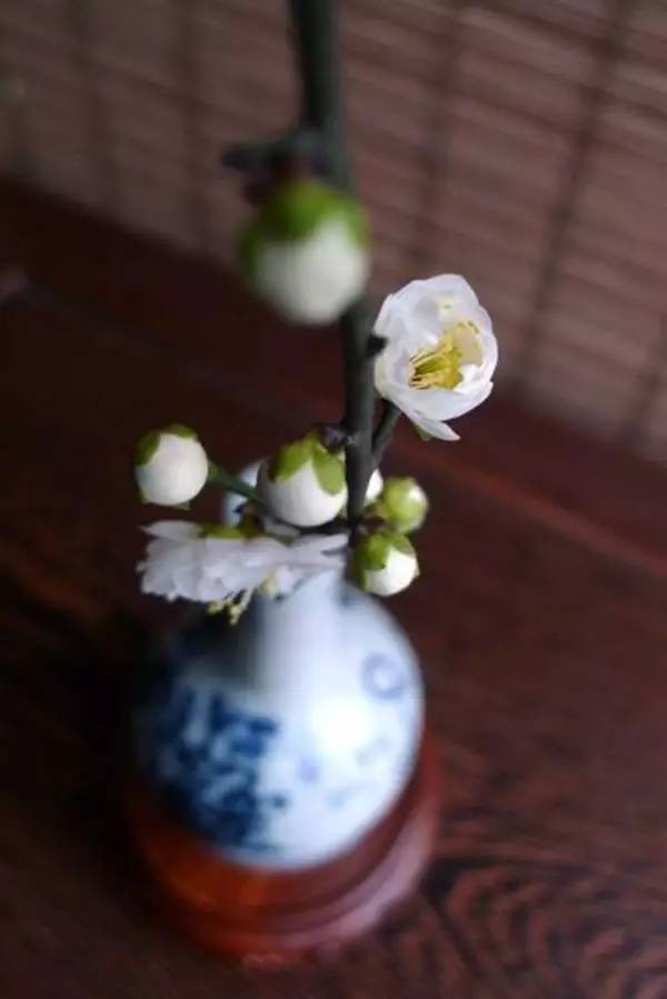 苏轼行香子几时归去原文,何时归去做个闲人行香子