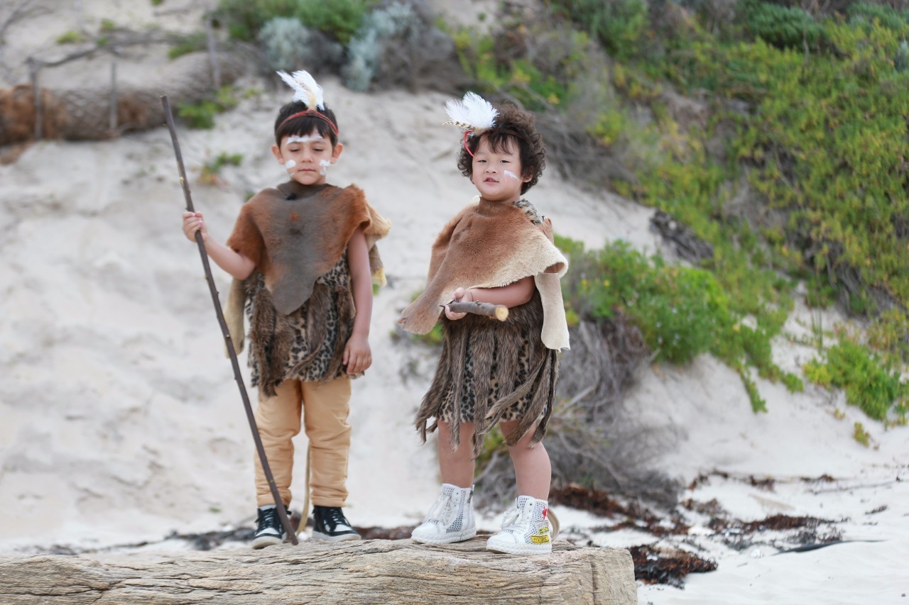 美术生收集资料的网站,美术生查询学校的软件