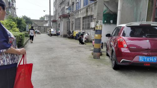 疯狗咬人责任怎么处理,电梯偶遇疯狗咬人该怎么办