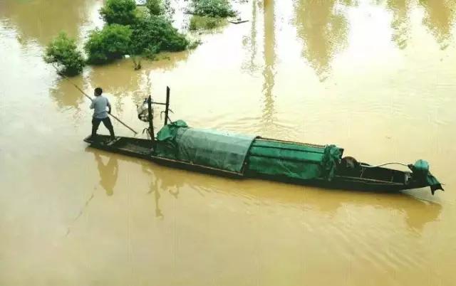 优秀手机摄影作品的五个要素,手机拍的作品