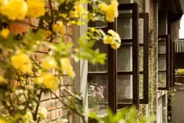 南京花迹,南京绝美的金陵小城