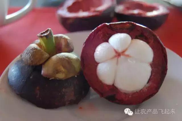 泰国水果怎么分辨等级,泰国怎么区分食物有没有毒品