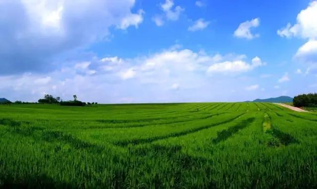 山水游记人生感悟,天心区山水印象