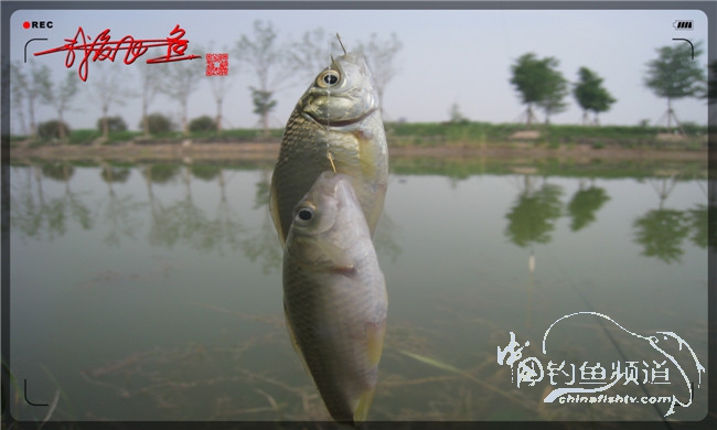 马踏湖国家湿地公园远足,马踏湖国家湿地公园游览路线