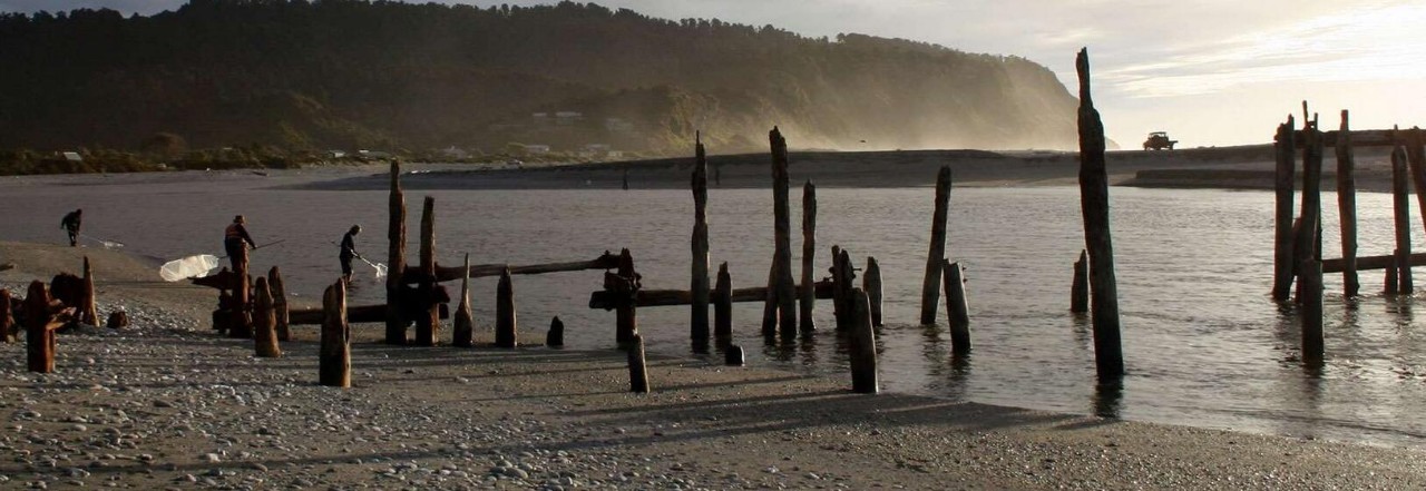 新西兰南岛大海,新西兰海鲜哪个最好吃视频