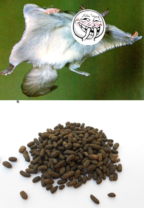 这些屎你曾吃过吗？