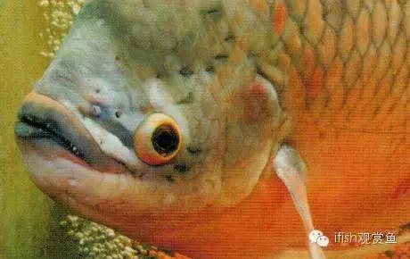 玩家“战船”哪能说翻就翻！