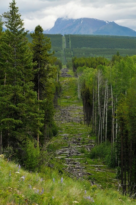 月球看万里长城,月球可以看到的万里长城什么样
