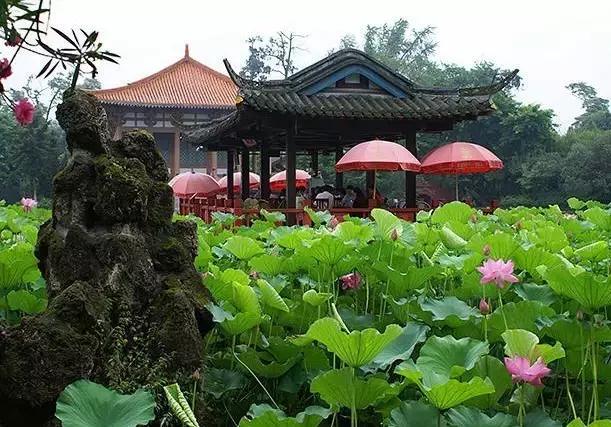 成都地铁6号线好吃的地方,郫都区犀浦地铁6号线附近美食