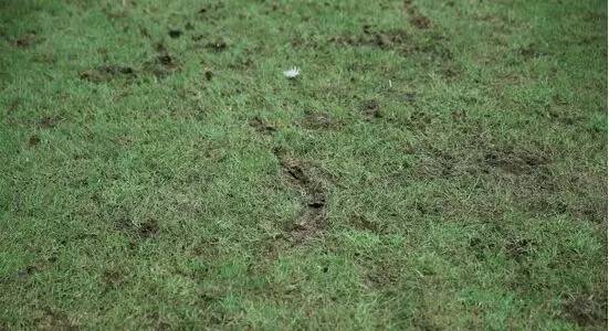 登巴巴德比,最血腥的加泰罗尼亚德比