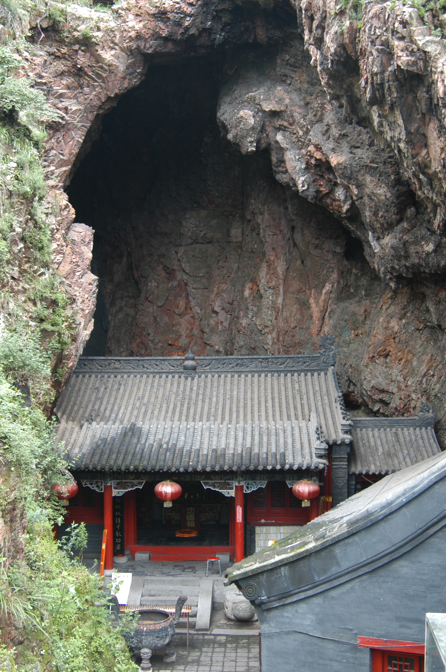 珍稀水源地,大连野生珍稀植物