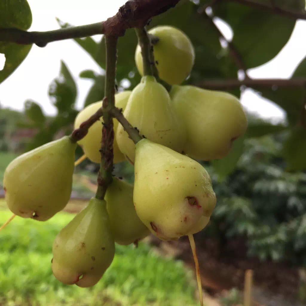 被遗忘的海南,海南被遗忘的浪漫之地