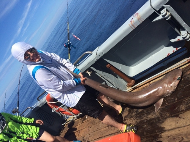 国外海钓巨物视频大全,去海钓路亚