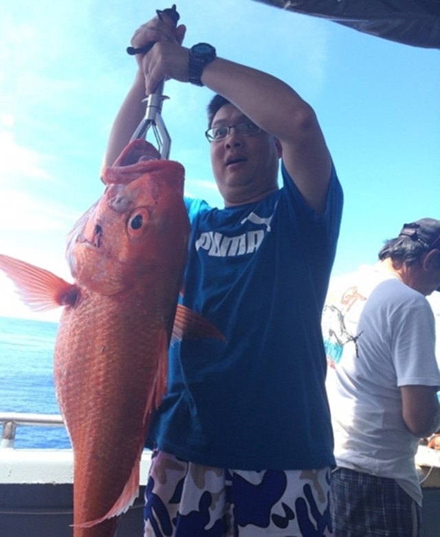 国外海钓巨物视频大全,去海钓路亚