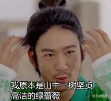 《太子妃》挂了，绿王上线，n年前上康熙时，他和小s。。。。