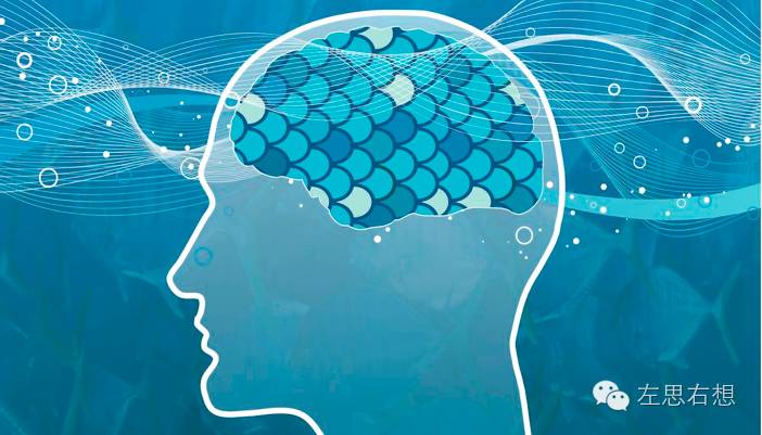 无品味钢渣粉,毫无品味可言