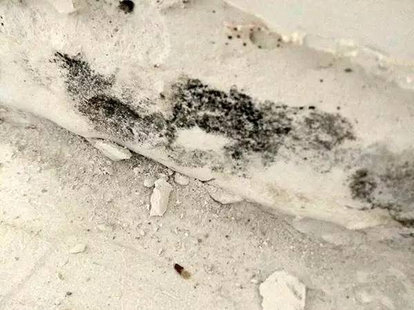 中海锦园怎么样,中海锦园