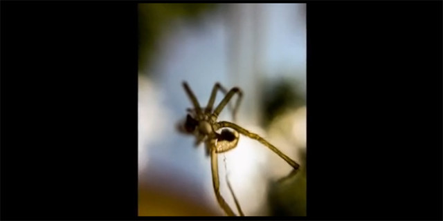 你真的会用手机拍照吗？手机拍照小技巧，以前白玩了