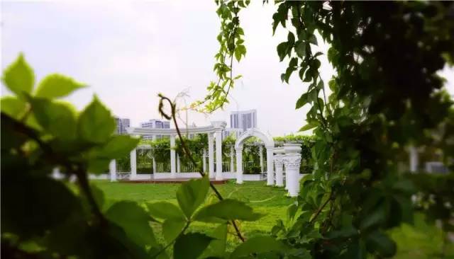 森系婚礼案例,独一无二的浪漫森系婚礼