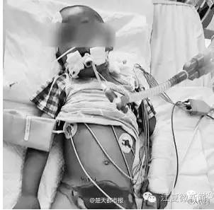 王清华与陈邂馨,陈邂馨东西湖