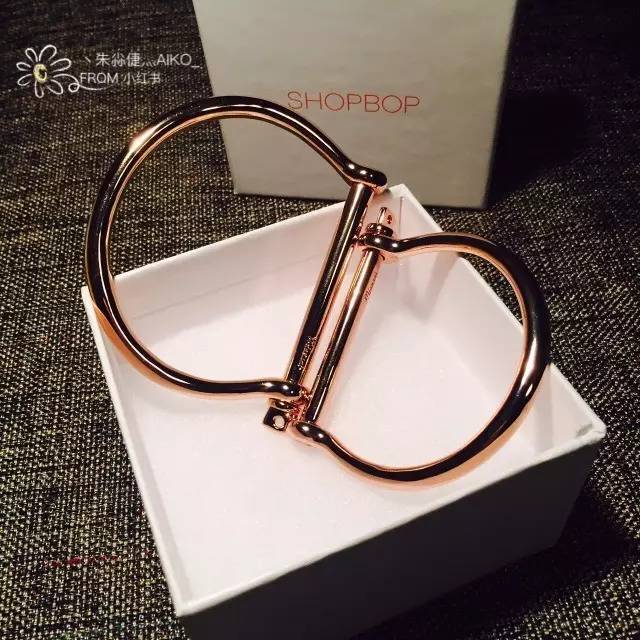 项链女款高级感轻奢小众百搭配饰,男生戒指配饰推荐小众高级款