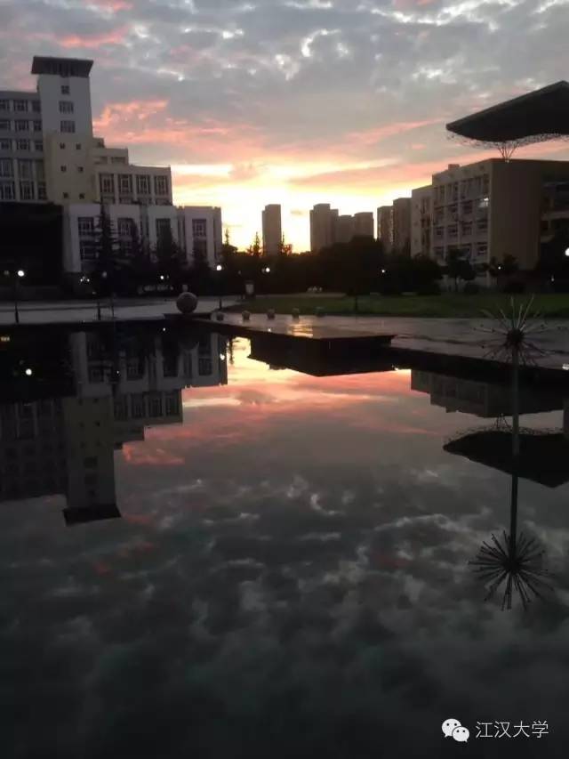 姹熷ぇ缇庢櫙,濮滃ぇ缇庝附