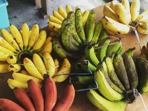 仙本那的海洋旅游,仙本那的海水比三亚好多了