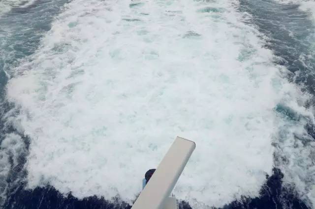 皇家赞礼号邮轮游,皇家赞礼号邮轮