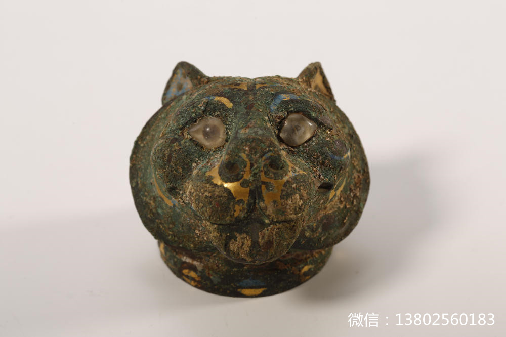 盘点那些大型萌宠的可爱瞬间,盘点这五个萌宠你觉得哪个最可爱