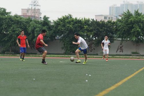 2019年全画幅相机哪款值得买,2019非全画幅单反相机推荐