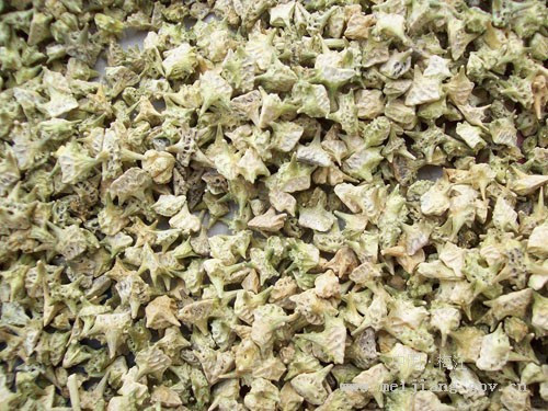 跟师心得体会12篇,皮肤瘙痒红肿难耐