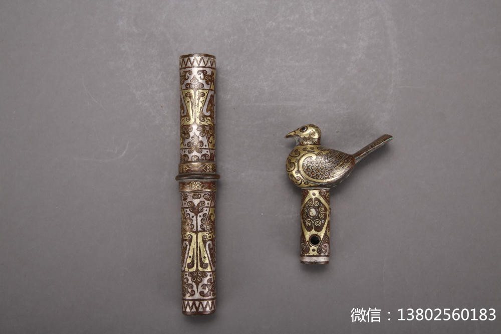 盘点那些大型萌宠的可爱瞬间,盘点这五个萌宠你觉得哪个最可爱