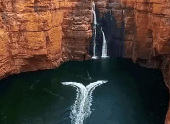 这个小吃货，萌哭了