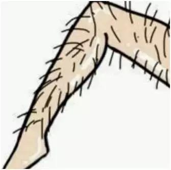 夏天大作战脱毛攻略,夏日脱毛大作战一起告别毛手毛脚