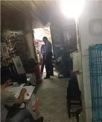 宠物救援机构合肥,宠物救援机构杭州