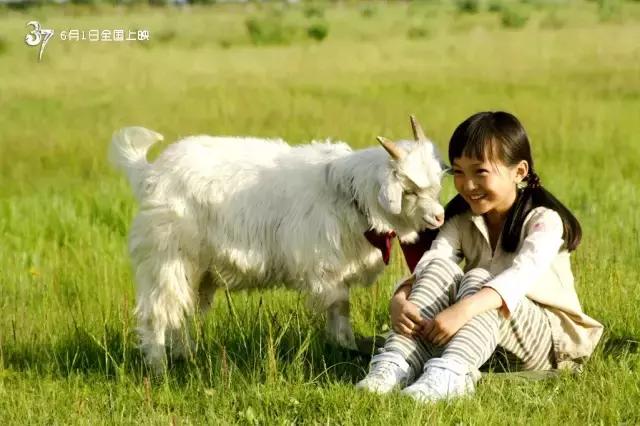 跟着电影去旅行全集,跟着电影去旅行视频