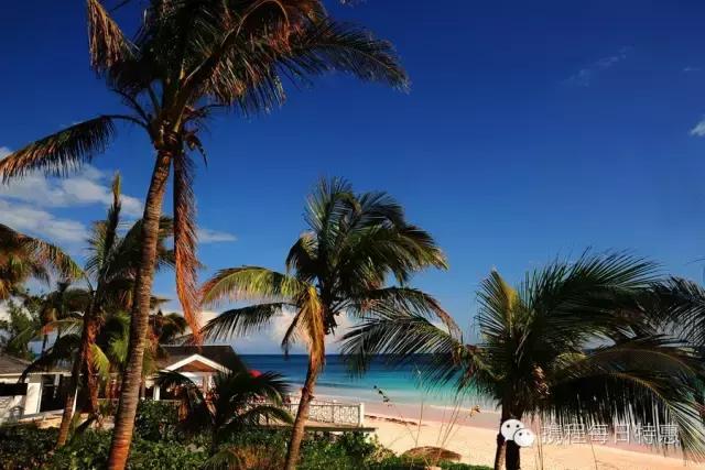 上海一套房子承包几座岛 (买一个有人居住的岛要多少钱)