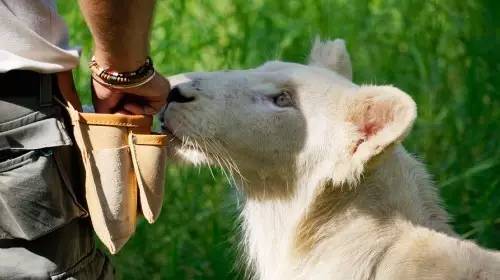 用耳朵旅行的财经主播Nina|全球空气质量最佳的天堂国度毛里求斯