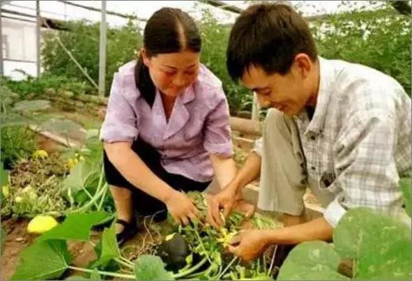 淮南人必读本周淮南发生了这些大事