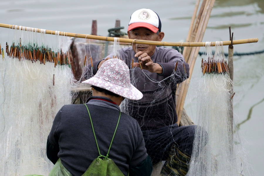 云霄海鲜美食节，干塘激情上演“浑水摸鱼”，女人免费摸