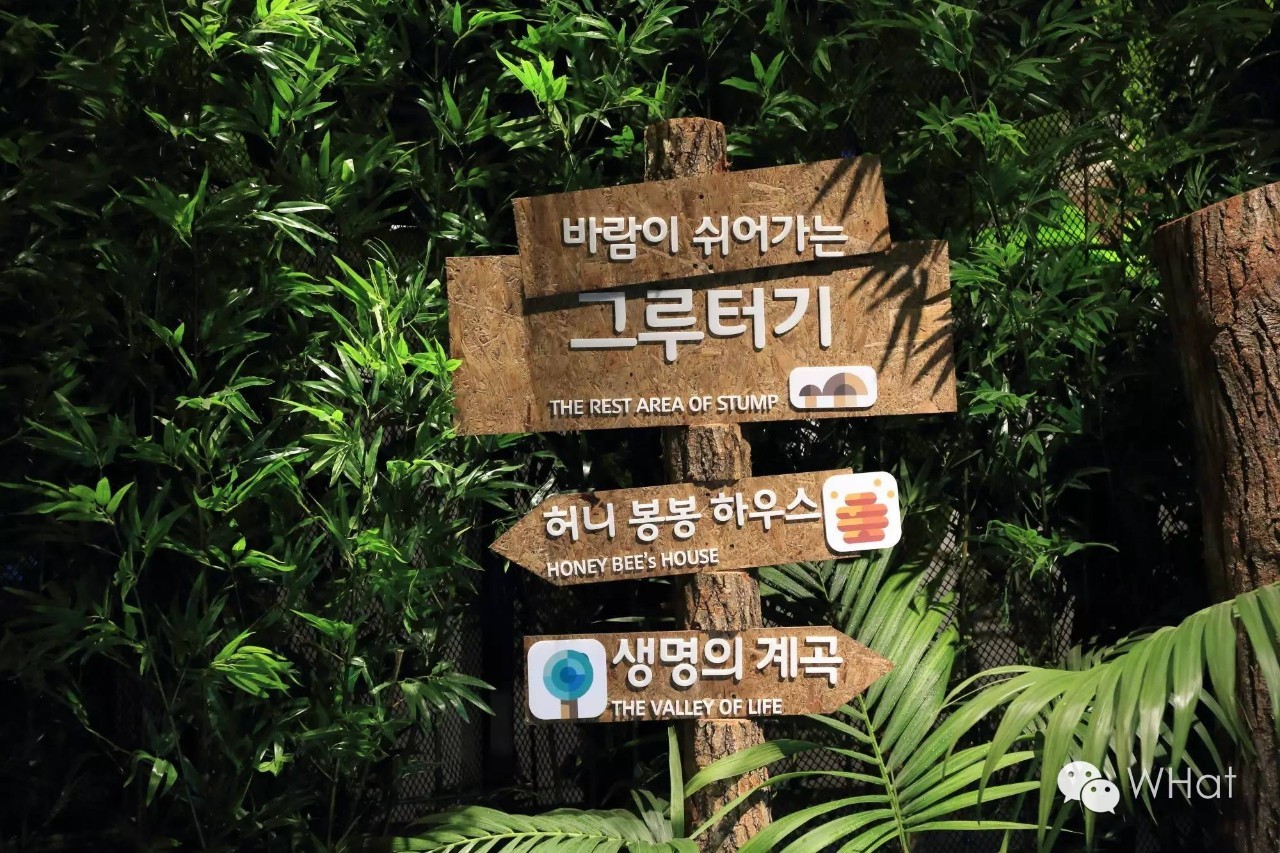 探秘武汉天地,武汉天地壹方唯美视频