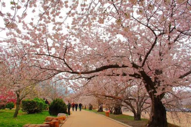 辽宁景点门票,辽宁省景点大全一览表
