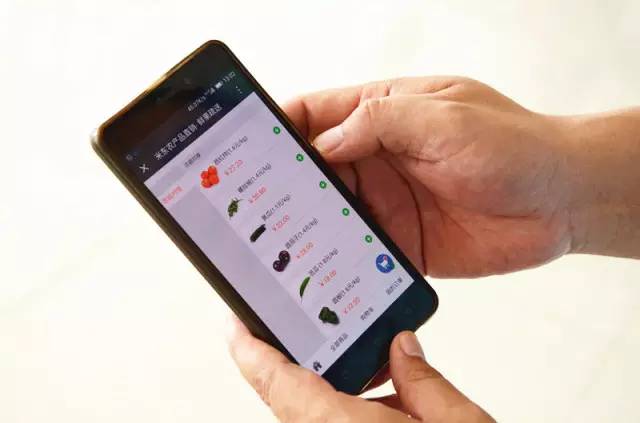 卖菜不出门，动手指就行米东农民种植蔬菜也搭上了“电商快车”