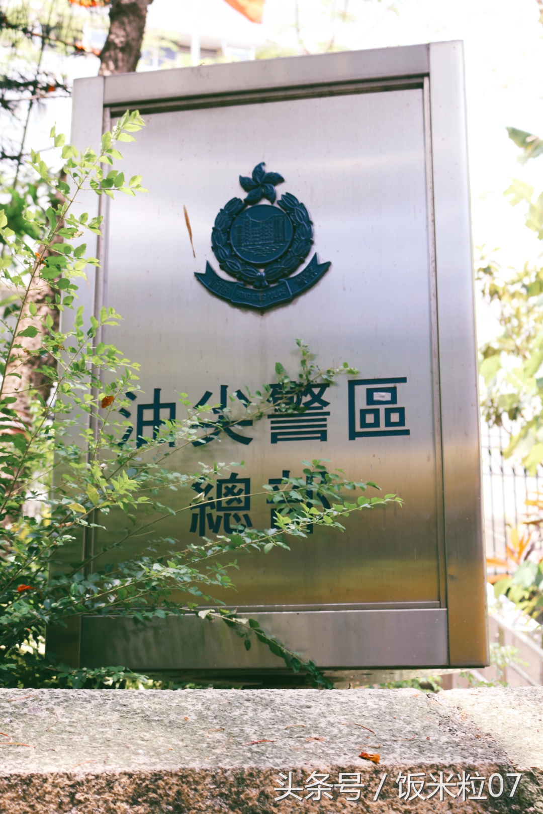 窥见英文,窥见上海商业