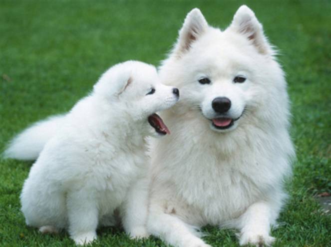 它比蟑螂还可怕，每天潜伏在宝宝身边！99%的妈妈都不知道...