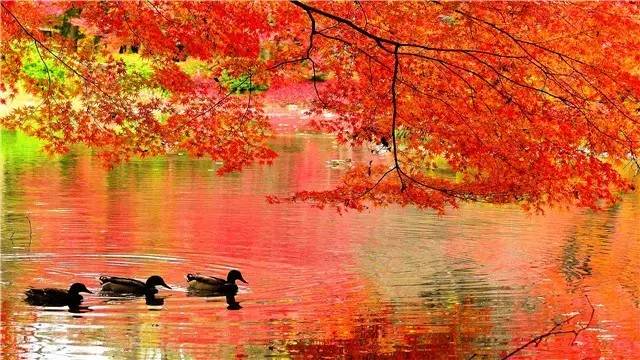 辽宁景点门票,辽宁省景点大全一览表